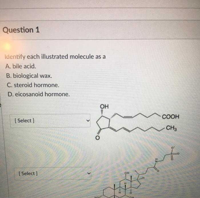 Solved Question 2 4 Pts What Molecule Is The Starting 7698