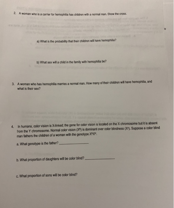 Solved 2. A woman who is a carrier for hemophilia has | Chegg.com