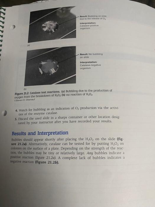 Oxygen and Growth Catalase CASB FILE Pobent G is a