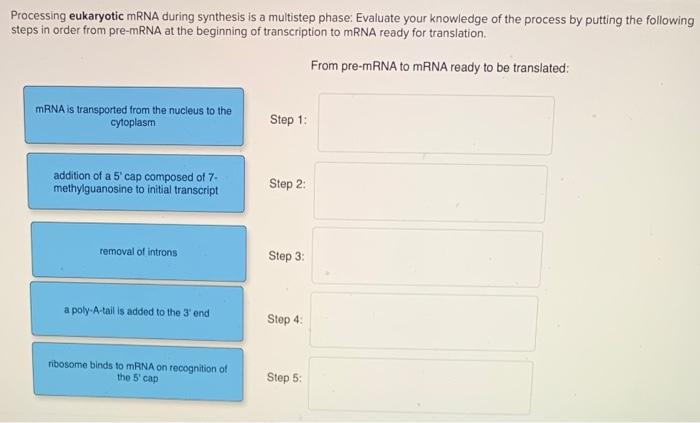 Solved Processing eukaryotic mRNA during synthesis is a | Chegg.com