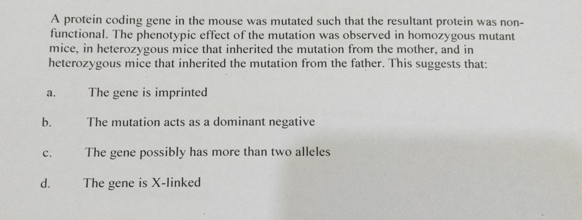 Solved A protein coding gene in the mouse was mutated such | Chegg.com