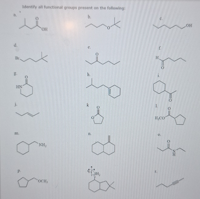 Solved Identify all functional groups present on the | Chegg.com