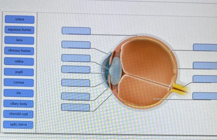 Solved i need some help with this please! | Chegg.com