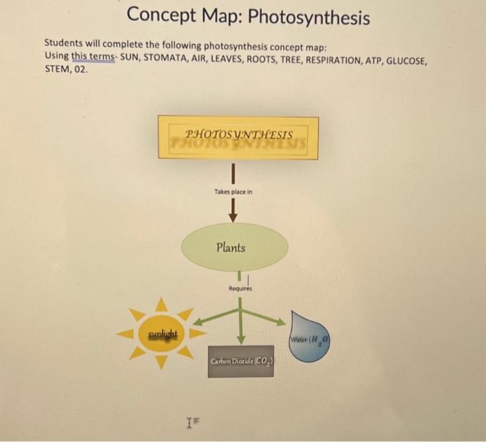 Solved Concept Map Photosynthesis Students will complete