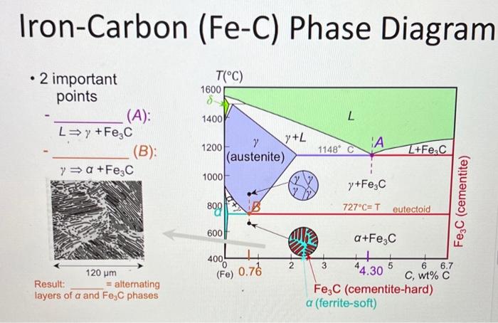 Iron-Carbon (Fe-C) Phase Diagram - 2 Important Points | Chegg.com