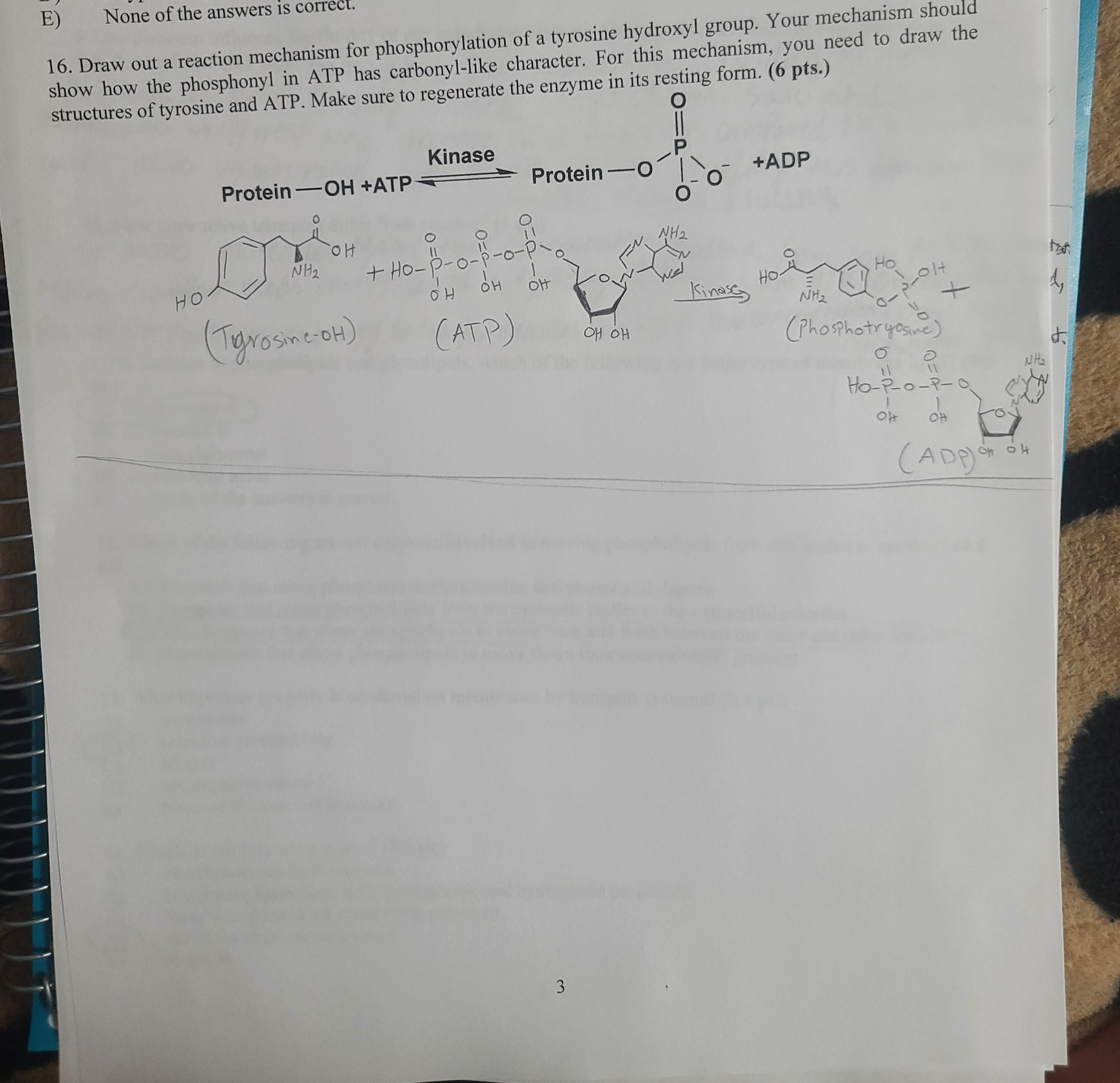 E) ﻿None of the answers is correct.16. ﻿Draw out a