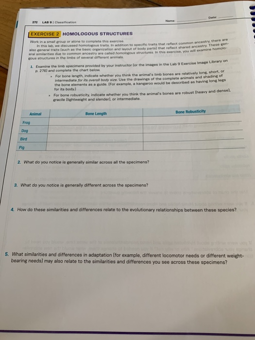 Evidence of common ancestry worksheet answer key image