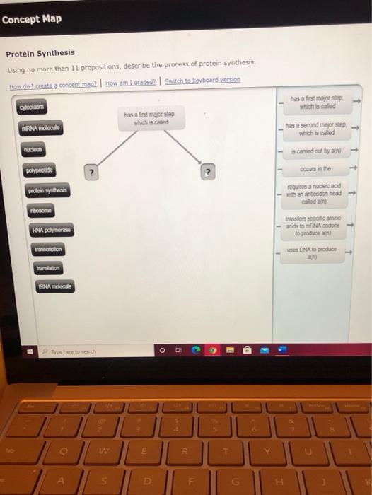 Solved Concept Map Protein Synthesis Using No More Than 11