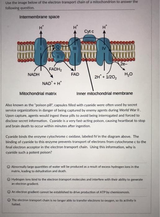 Solved Use the image below of the electron transport chain | Chegg.com