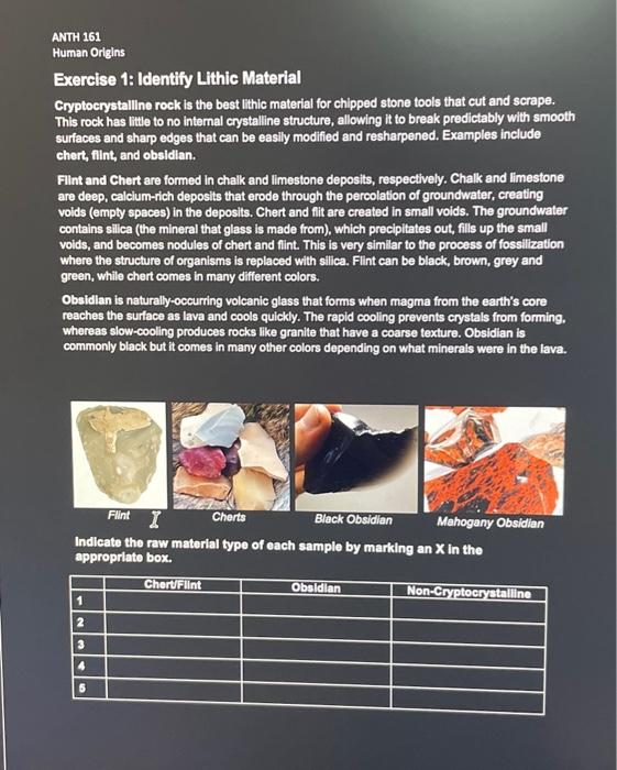 ANTH 161 Human Origins Exercise 1: Identify Lithic | Chegg.com
