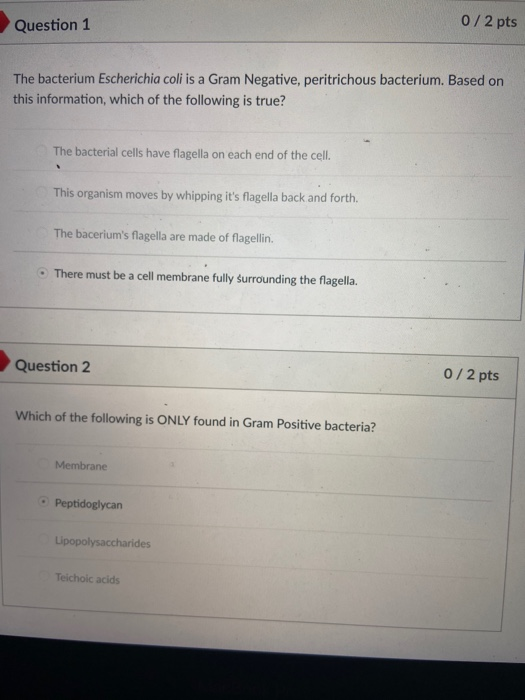 Solved Question 1 0/2 pts The bacterium Escherichia coli is | Chegg.com