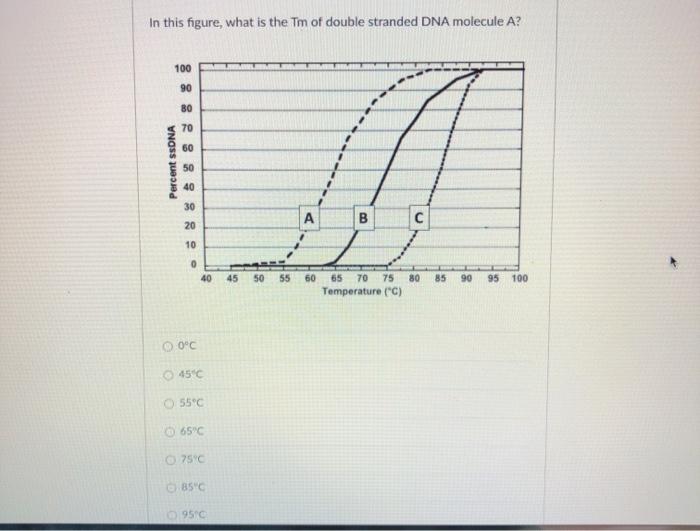 Solved In this figure, what is the Tm of double stranded DNA | Chegg.com