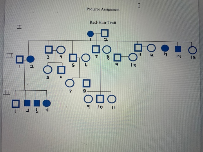 Solved . a paragraph below the pedigree describing o 1) the | Chegg.com