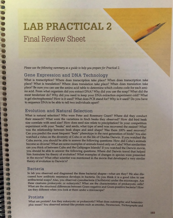 Solved LAB PRACTICAL 2 Final Review Sheet Please use the | Chegg.com