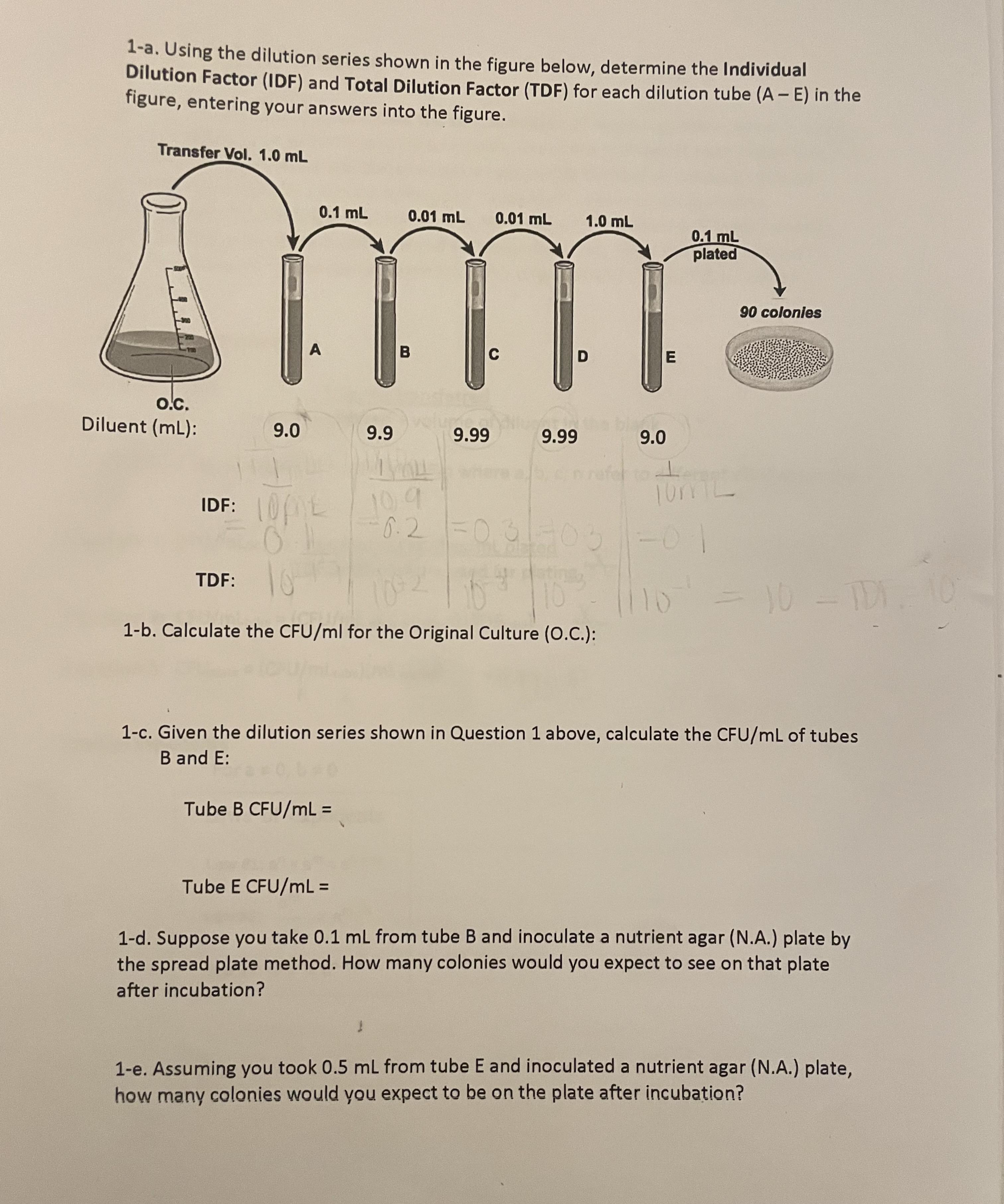 1a. ﻿Using the dilution series shown in the figure