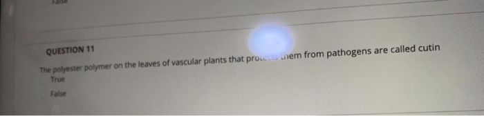 Solved QUESTION 14 Which of the following is NOT one of the | Chegg.com