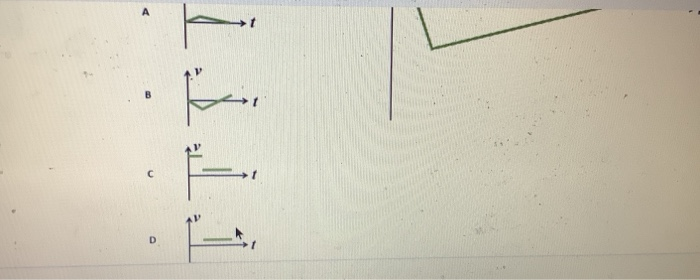 Solved The displacement versus time graph for a bacterium | Chegg.com