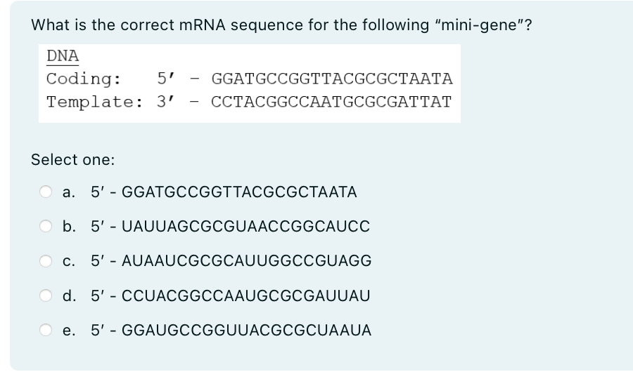 Solved What is the correct mRNA sequence for the following | Chegg.com