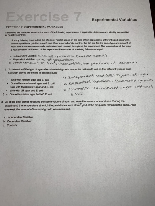 exercise 7 experimental variables