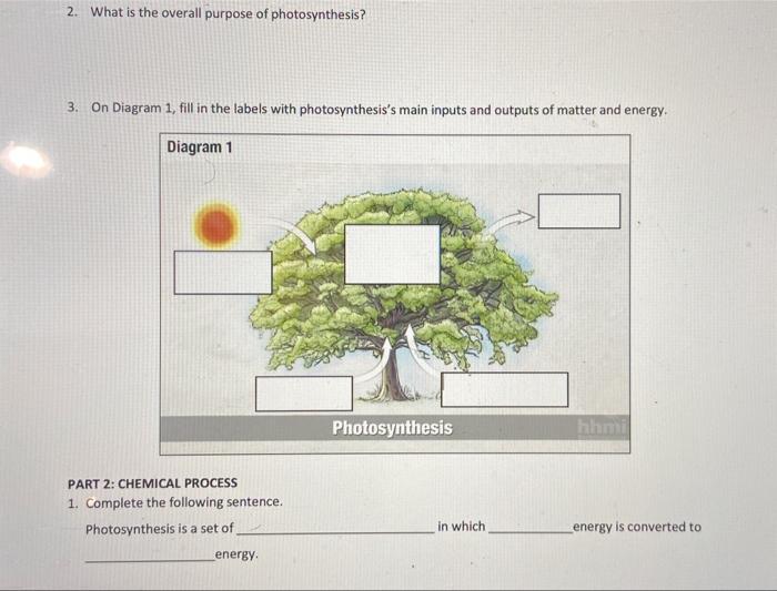 solved-2-what-is-the-overall-purpose-of-photosynthesis-3-chegg