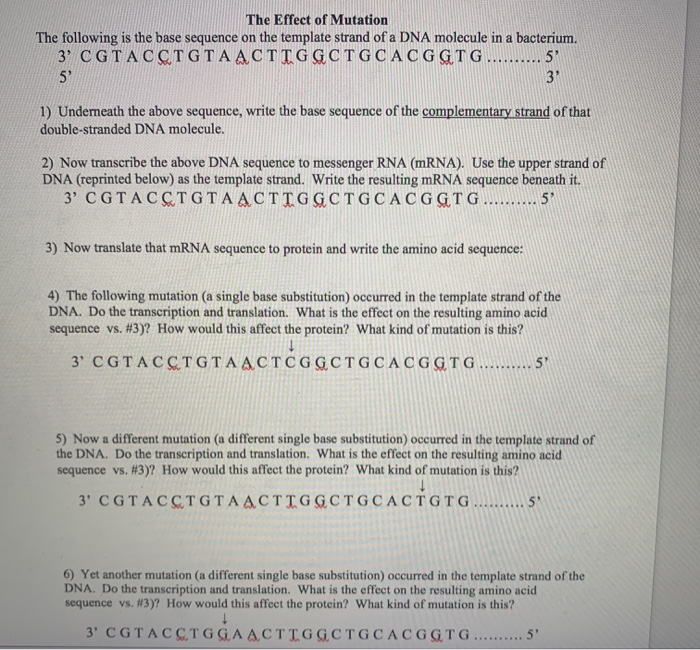 Solved The Effect of Mutation The following is the base | Chegg.com