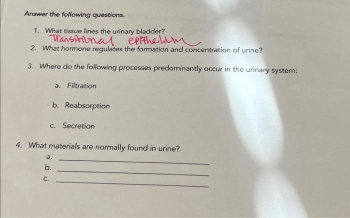 Solved Answer the following questions. 1. What tissue lines 