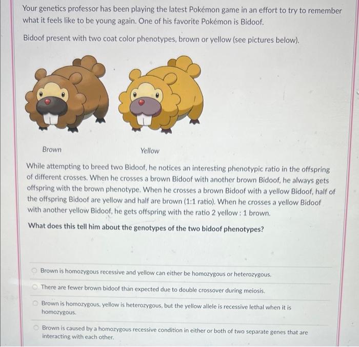 Pokemon Arts and Facts on X: Black 2 and White 2 broke the trend of  obtaining the the regional starter Pokemon directly from a Professor. In  these games, Bianca gave the player