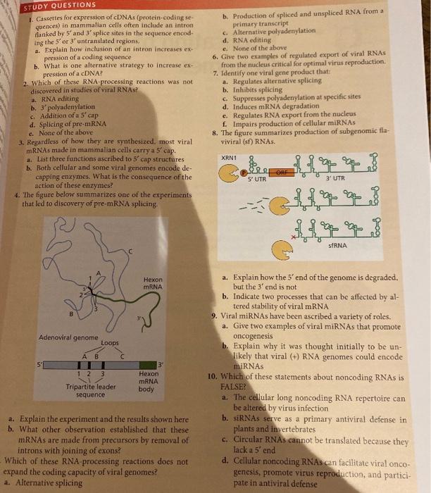 Solved 236 STUDY QUESTIONS 1. What is the first viral