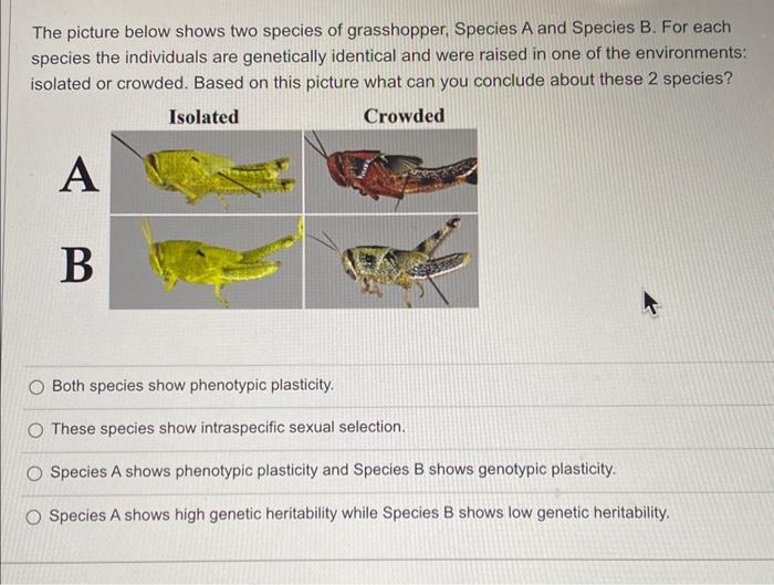 Solved The picture below shows two species of grasshopper, | Chegg.com