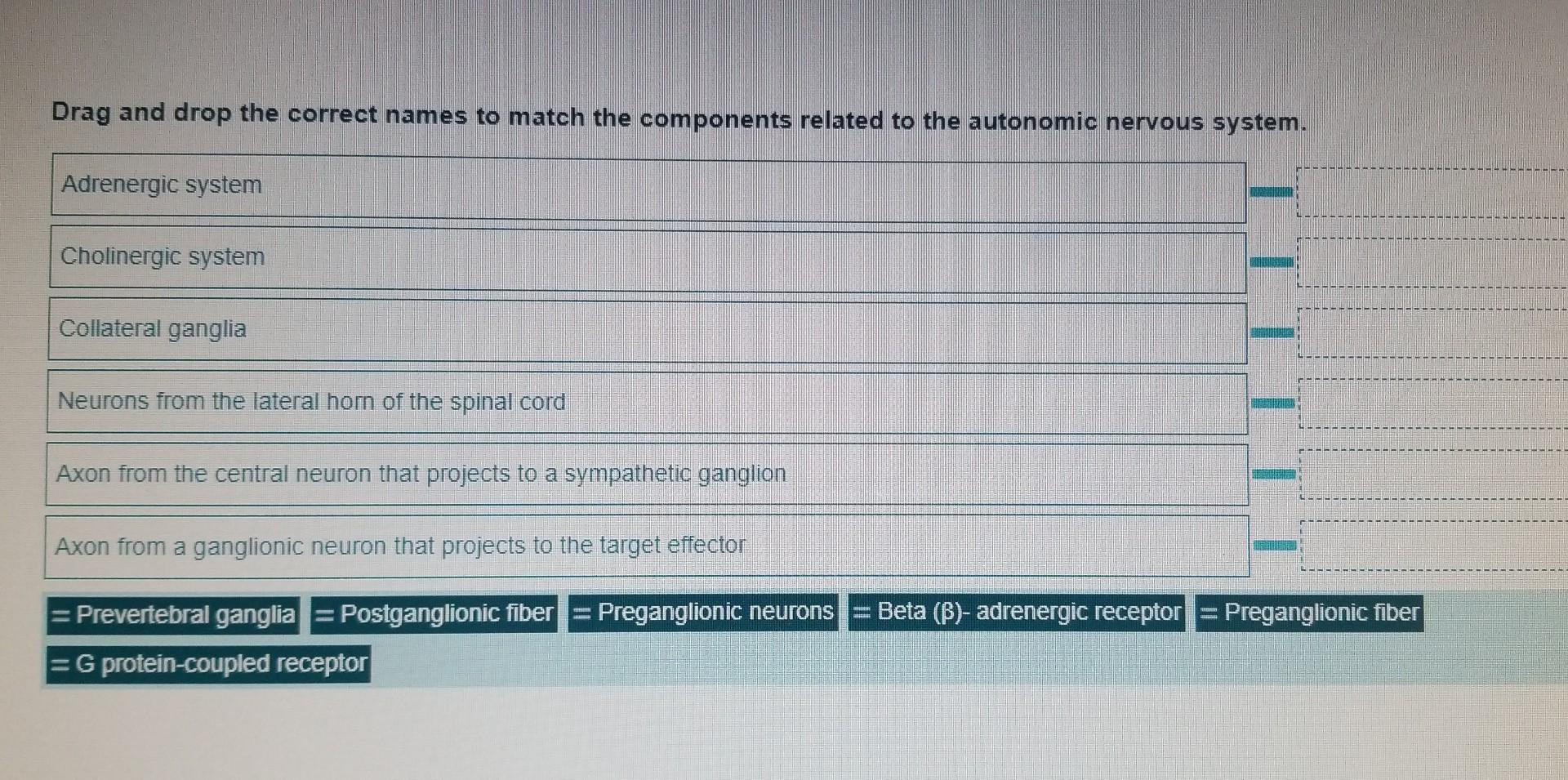 Solved Check My Work Drag Each Term To Match The Correct Chegg Com