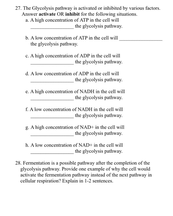 Solved 27. The Glycolysis Pathway Is Activated Or Inhibited 