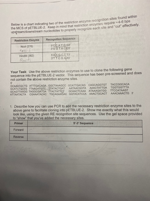 Solved Below is a chart indicating two of the restriction | Chegg.com