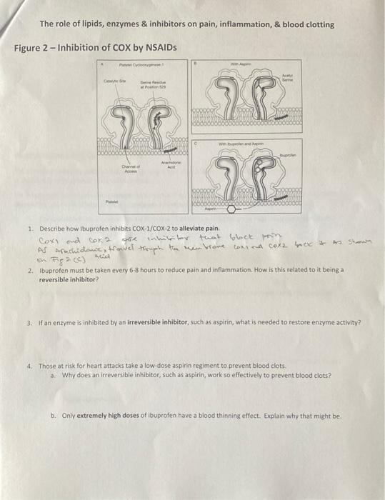 Solved The role of lipids, enzymes & inhibitors on pain,