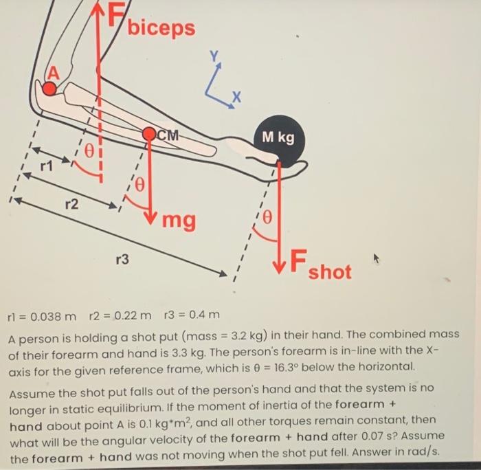 solved-do-not-round-intermediate-steps-and-answer-to-3-chegg