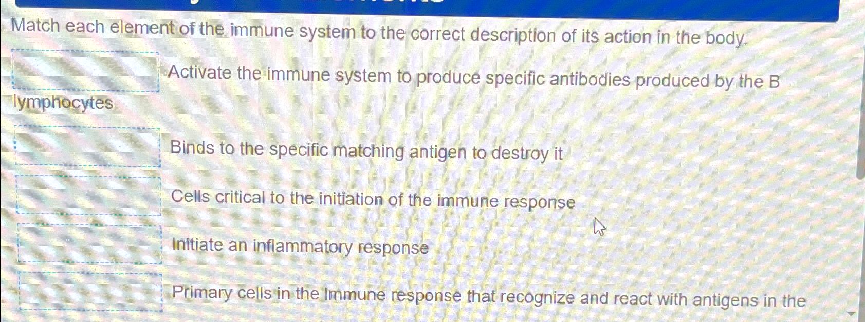 Solved Determine whMatch each element of the immune system | Chegg.com