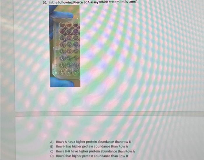 20. In the following Pierce BCA assay which statement