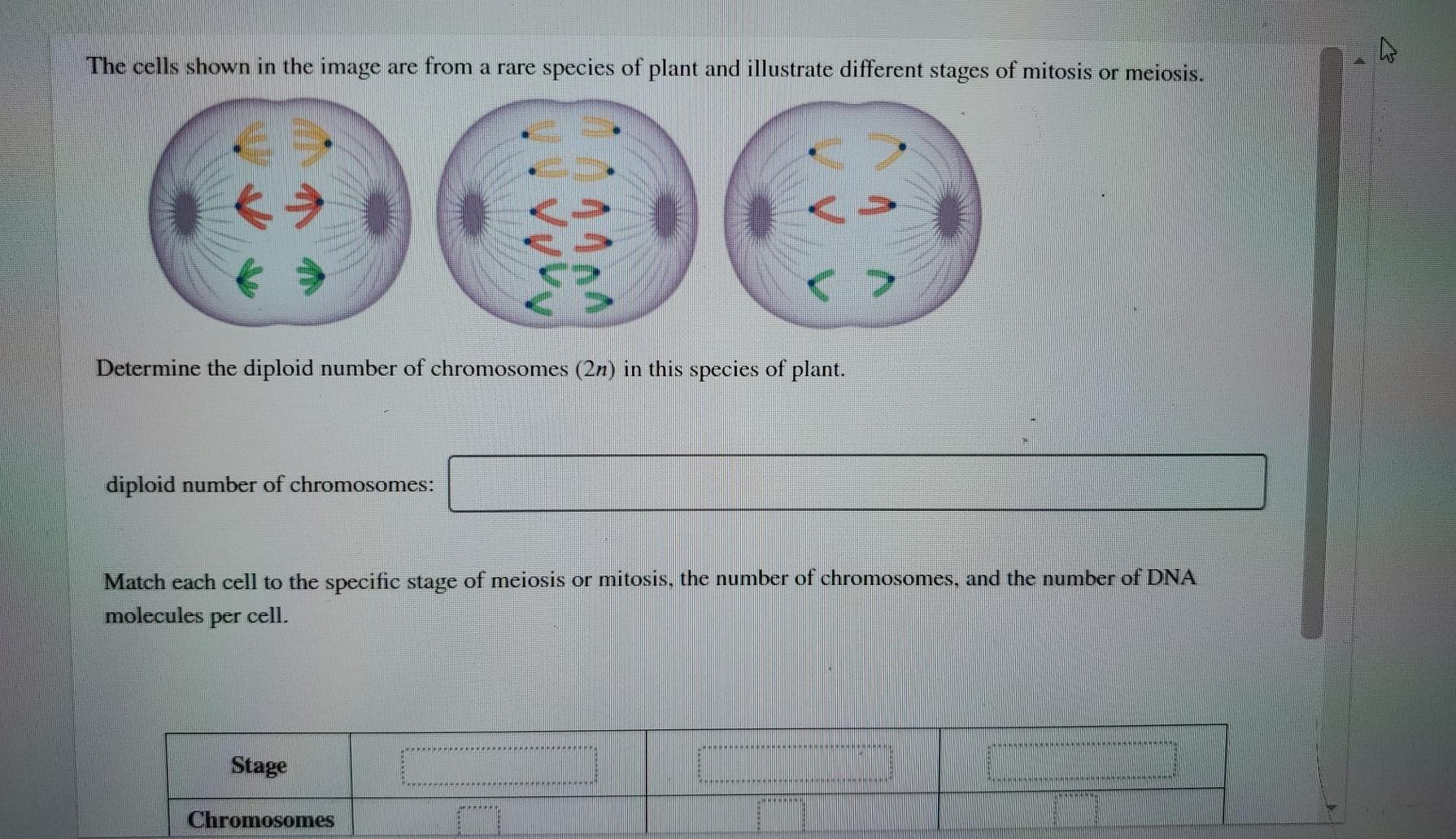 Solved The cells shown in the image are from a rare species | Chegg.com