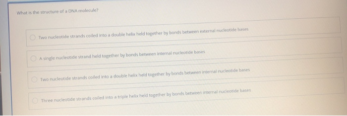 Solved What is the structure of a DNA molecule? Two | Chegg.com