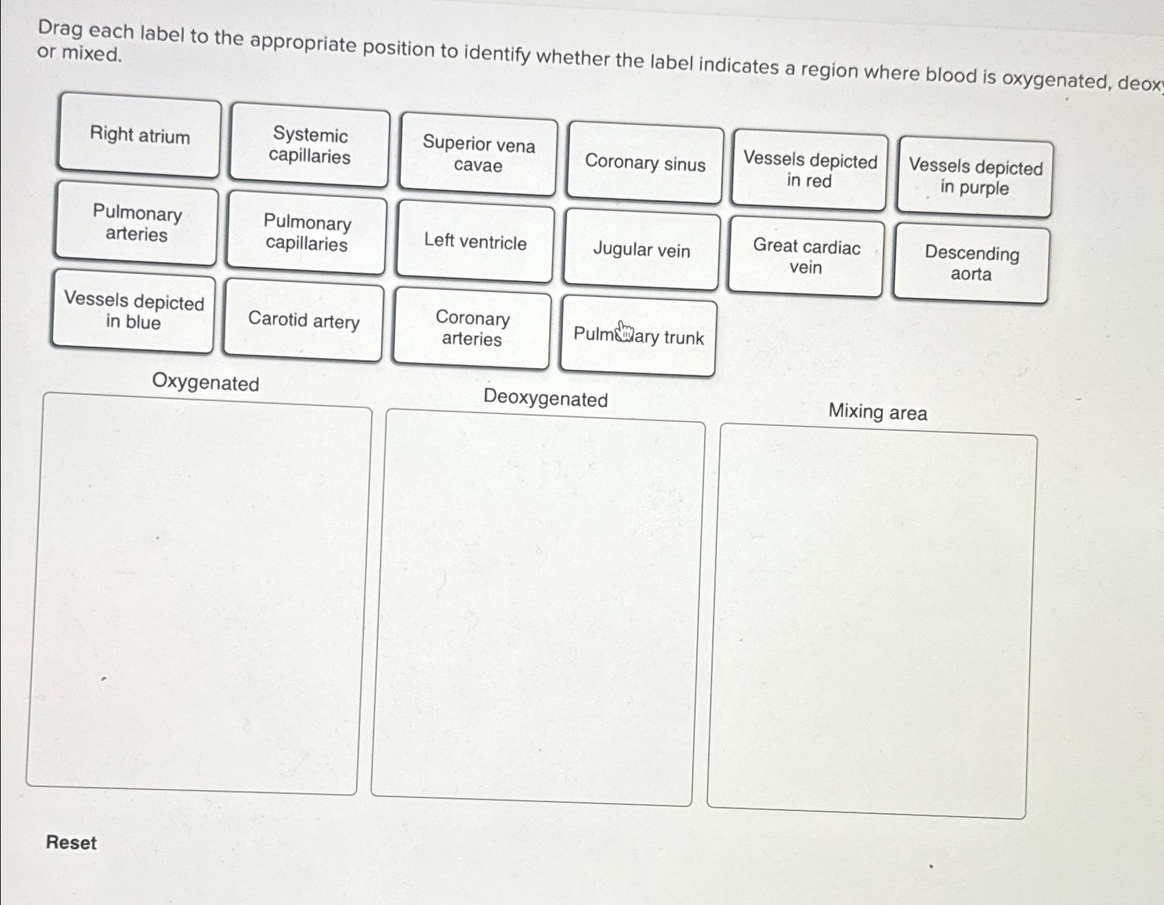 Solved Drag each label to the appropriate position to | Chegg.com