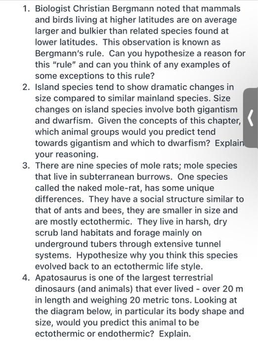 Solved 1. Biologist Christian Bergmann noted that mammals | Chegg.com