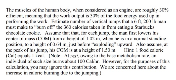 Solved The Muscles Of The Human Body When Considered As An Chegg Com