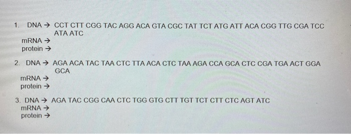 Solved Use Your Codon Chart To Determine The Amino Acid Chegg Com