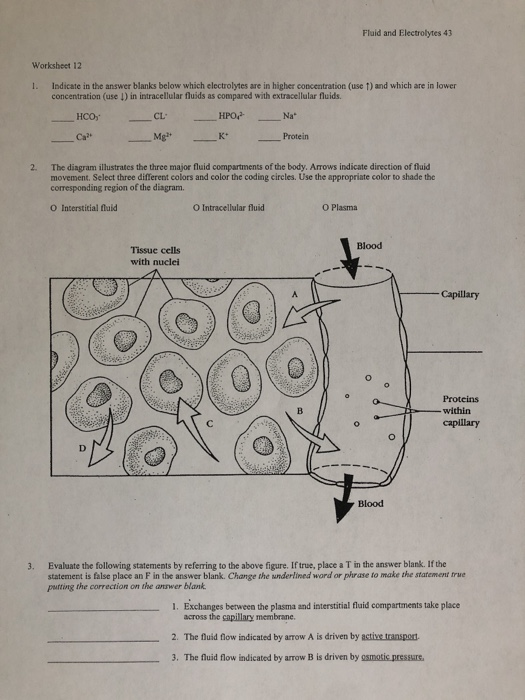 solved-fluid-and-electrolytes-43-worksheet-12-1-indicate-in-chegg