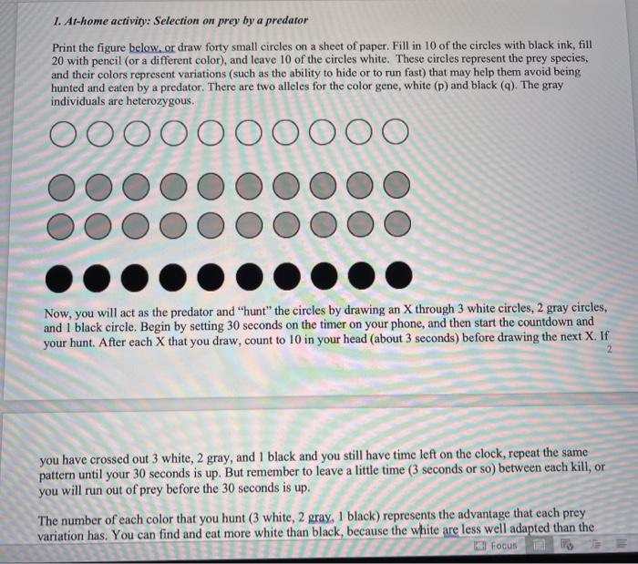 1. At-home activity: Selection on prey by a predator Print the figure below, or draw forty small circles on a sheet of paper.