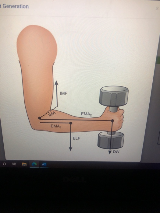 Solved Chapter 1: Principles Of Kinesiology And Biomechanics | Chegg.com