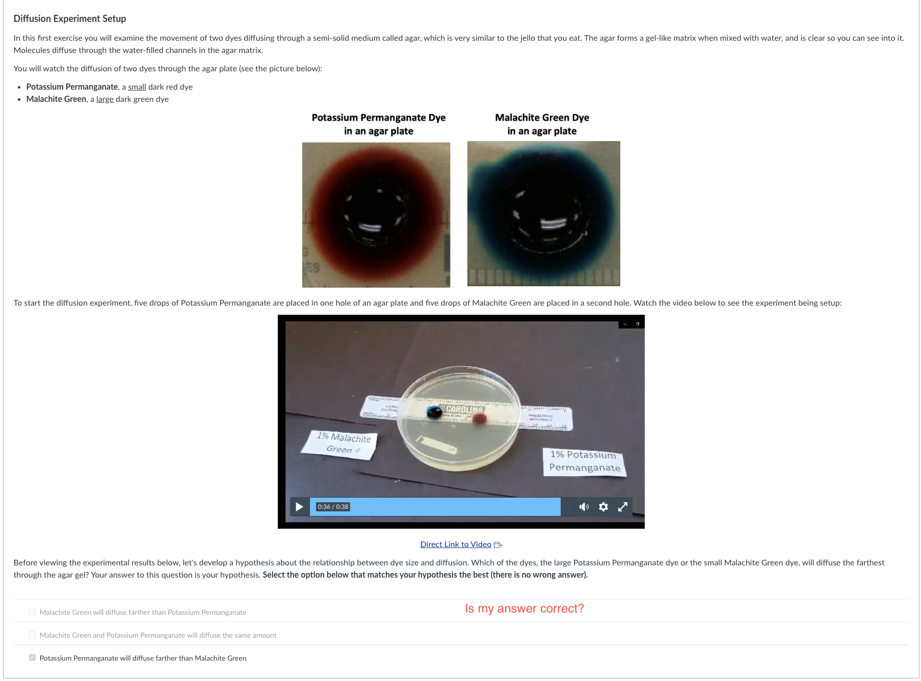 Solved Topic: Diffusion and Osmosis Online | Chegg.com
