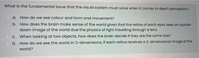 Solved What Is The Fundamental Issue That The Visual System | Chegg.com