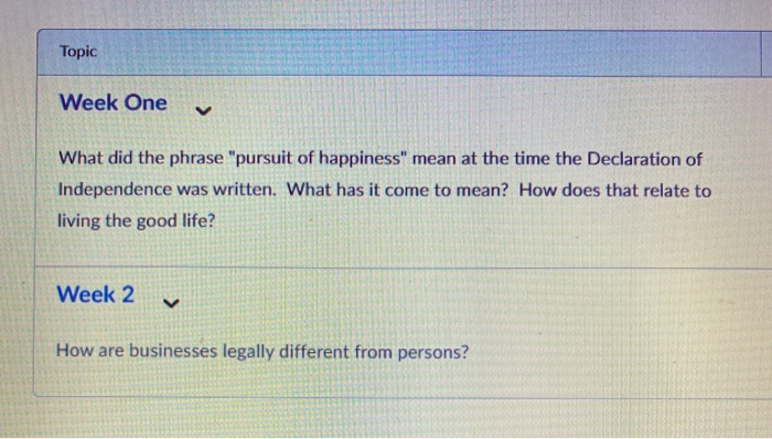 what does pursuit of happiness mean