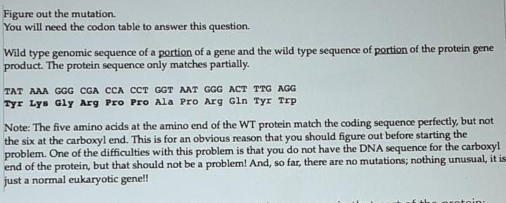 Solved Figure out the mutation You will need the codon table | Chegg.com
