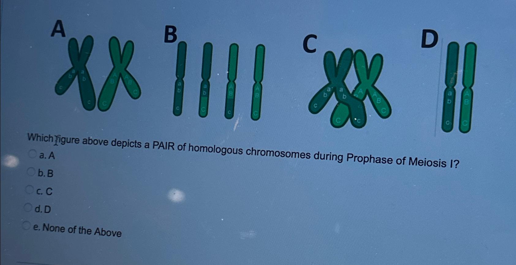 Solved Which rigure above depicts a PAIR of homologous | Chegg.com